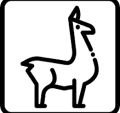 VideoLlama