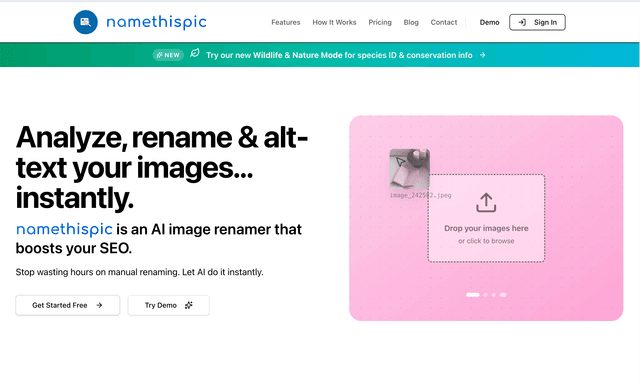 Namethispic is an AI image renamer that boosts your SEO.