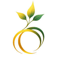 Seedance AI