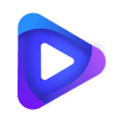 Vidfly AI