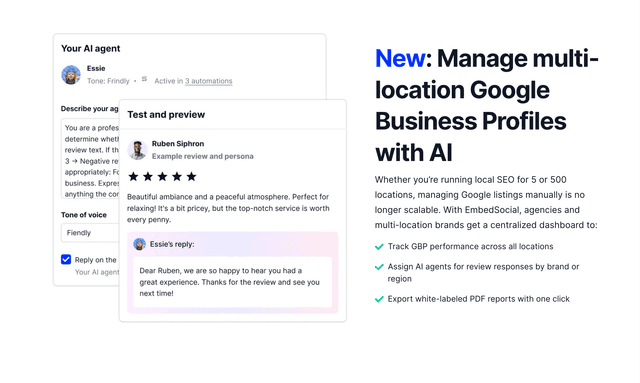 Embed Social manage multi-location google business profiles