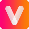 Vidgenie